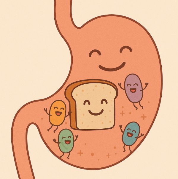 gut health