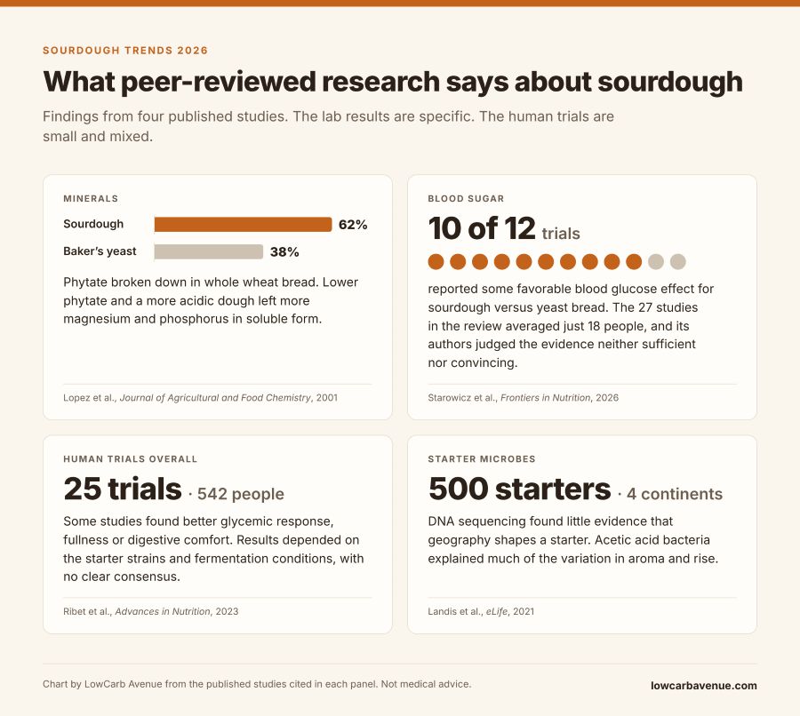 sourdough research