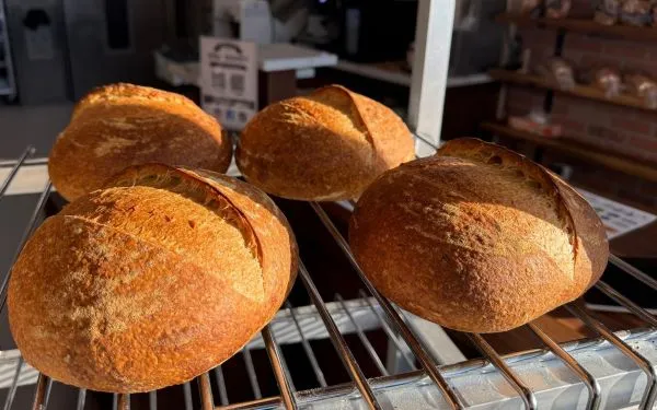 low carb sourdough